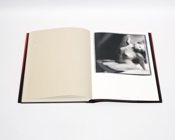 Книга - фотоальбом еротичної фотографії найкращих фотографів світу Graphis Nudes V.4 | Зображення 3