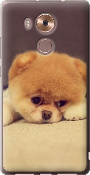 Чехол на Huawei Mate 8 Boo 2 "890u-269-17620"