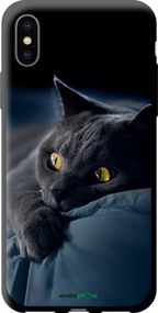 Чохол на iPhone X Димчастий кіт "825b-1050-2448"