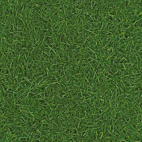 Дитячий лінолеум Leoline Smart SURFACES Grass 25