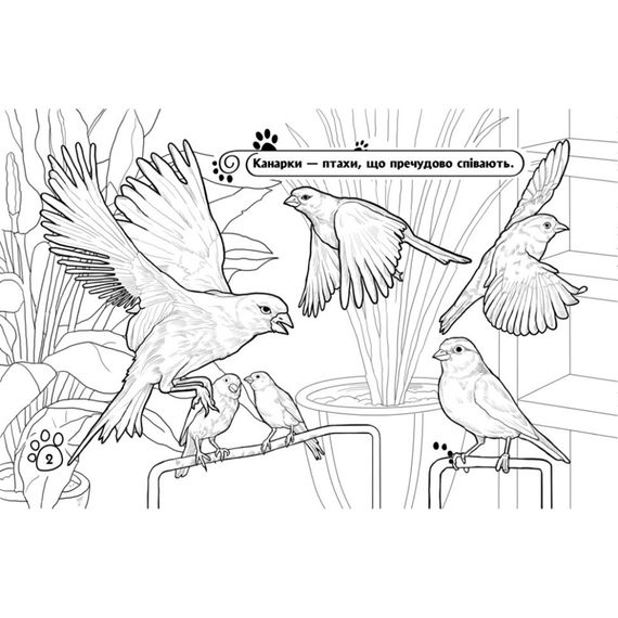 Дитяча розмальовка "Тварини у домі" 583010, 16 сторінок | Зображення 3