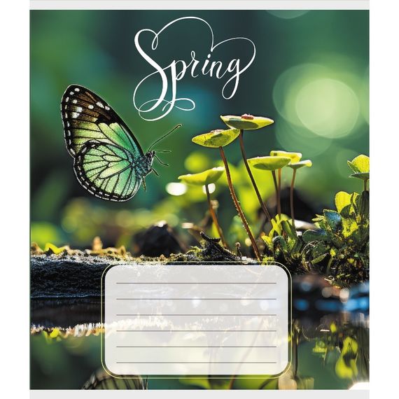 Зошит учнівський "Метелик весною" 018-530216K-4 в клітинку, 18 аркушів