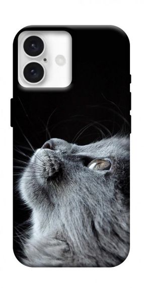 Чохол з картинкою Cute cat для Apple iPhone 16 (6.1")