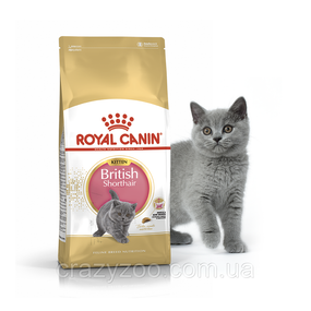 Сухий корм для кошенят Royal Canin Kitten British Shorthair 2 кг 2566020