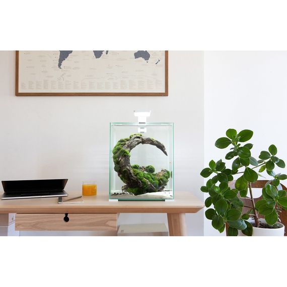 Акваріум Aquael Smart Day Night для креветок чорний прямий 30 л | Зображення 2