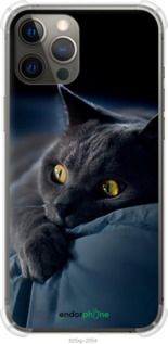 Чохол на iPhone 12 Pro Max Димчастий кіт "825sp-2054-2448"