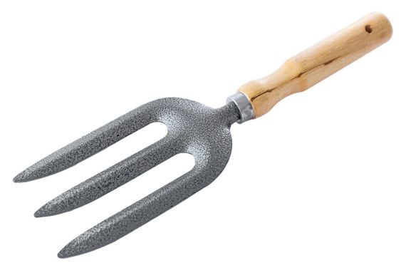 Вилы Mastertool - 265 x 80 мм ручка дерево (14-6192) | Зображення 1