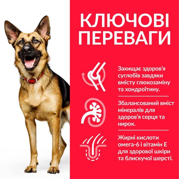 Сухой корм Hill's Science Plan для зрелых собак больших пород от 6 лет с курицей 14 кг | Зображення 2