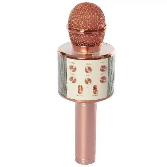 ОЧЕНКА! Бездротовий караоке-мікрофон Wster WS-858 Bluetooth (Плохе паковання 3507) | Зображення 3