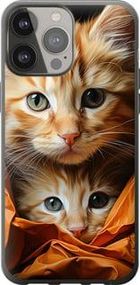 Чохол на iPhone 13 Pro Max Котики 2 з пластику FCh_008300