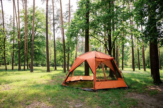 Шатер Tramp Lite Mosquito orang | Зображення 4