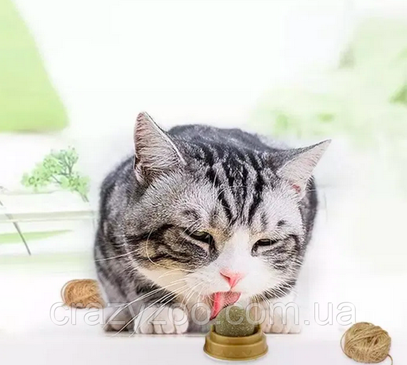 Игрушка для котов Лизун с кошачьей мятой | Зображення 2