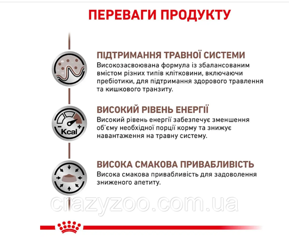 Сухий корм для котів Royal Canin Gastro Intestinal 400 г 39050041 | Зображення 3