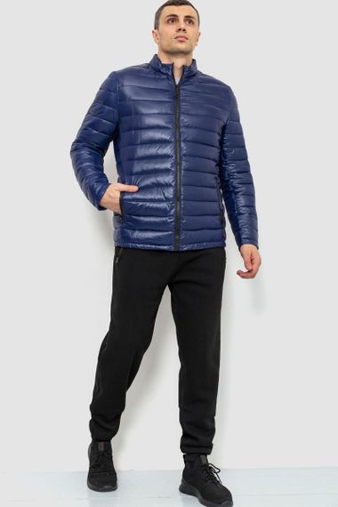 Куртка чоловіча демісезонна, колір синій, 214R06 | Зображення 1