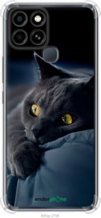 Чохол на Infinix Smart 6 Димчастий кіт "825sp-2758-2448"