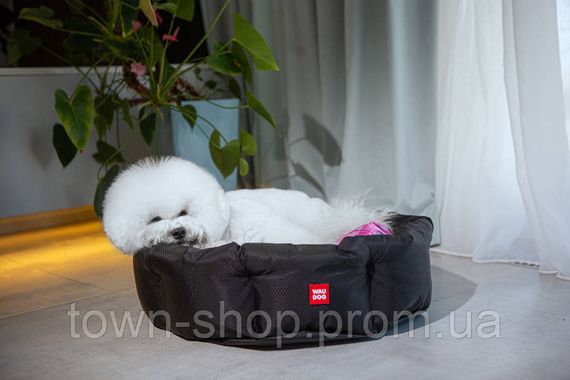Лежанка для собак WAUDOG Relax, рисунок "Чудо-женщина" , со сменной подушкой, M, Ш 42 см, Дл 52 см, В 19 см | Зображення 2