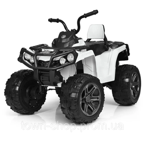 Детский электромобиль Квадроцикл Bambi M 3999EBLR-1 до 35 кг