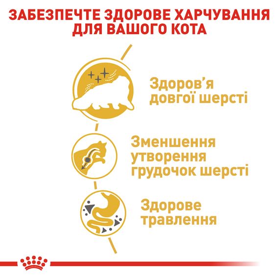 Сухий корм для котів персидської породи від 12 місяців Royal Canin Persian Adult 2 кг | Зображення 4