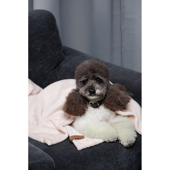 Плед Pet Fashion Bliss 2 для собак і котів плюш пудра 68х114,6 см | Зображення 9