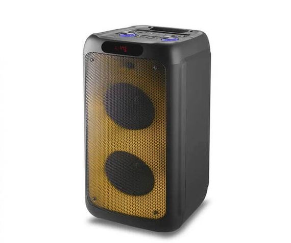 Потужна портативна акустична система з караоке RX-8280 (8"х2) Bluetooth колонка з RGB підсвічуванням 40W-4000mAh + Пульт | Зображення 4