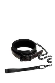 Нашийник з повідцем BLAZE COLLAR AND LEASH PURPLE Sex Aura