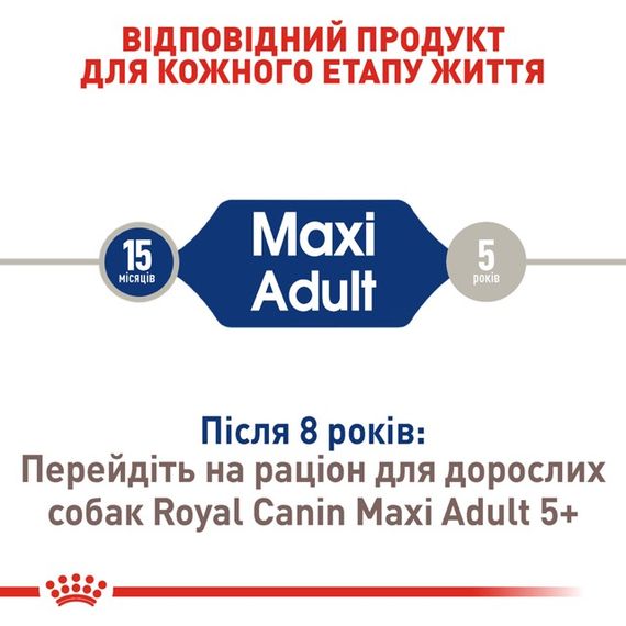 Корм Royal Canin Maxi Adult сухой для взрослых собак крупных пород 4 кг | Зображення 2
