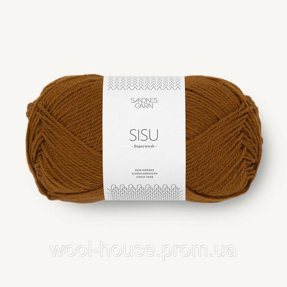Шкарпеткова пряжа Sandnes Garn Sisu 50 г, 2564