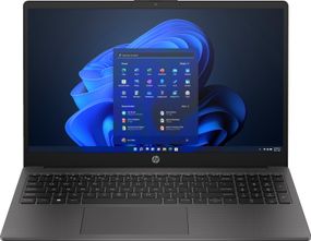 Ноутбук HP 250-G10 15.6&quot; FHD IPS AG 817V9EA