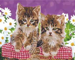 Кошенята в кошику