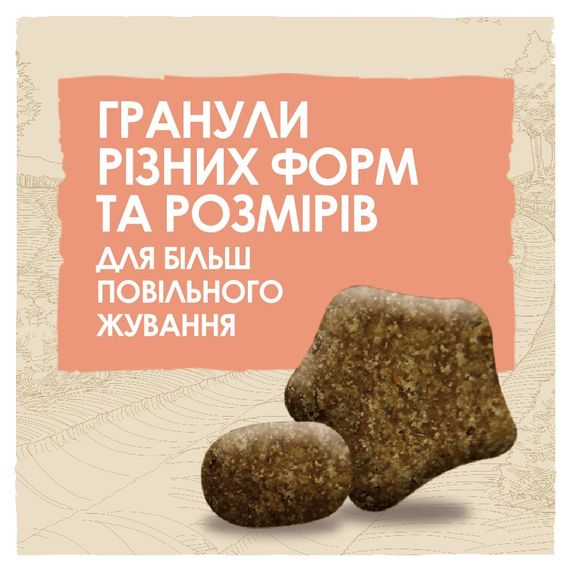 Сухий корм для собак з лососем Dog Chow Sensitive 14 кг | Зображення 3