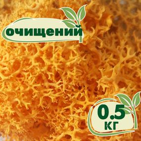 Очищенный стабилизированный мох ягель Nordic moss Желтый осенний 0,5 кг