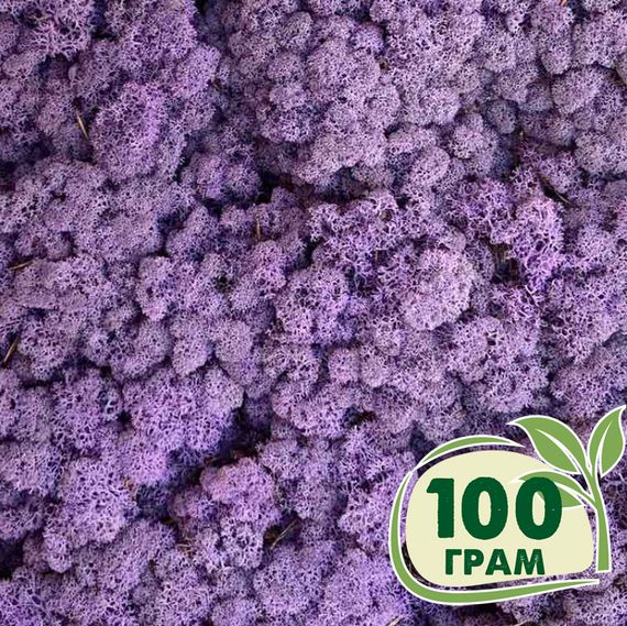 Стабілізований мох ягель Еріка 100 грам