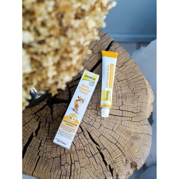 Вітаміни GimCat Every Day мультивітамінна паста для котів для покращення імунітета 100 г | Зображення 3