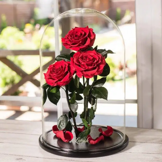 Декоративні троянди у колбі, червоні вічні троянди 3 штуки у колбі   знижка