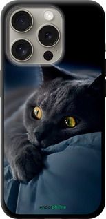 Чохол на iPhone 15 Pro Димчастий кіт "825b-3096-2448"