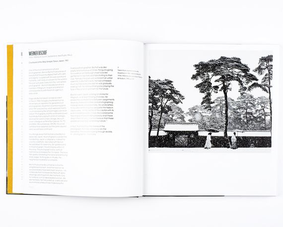 Книга про уличную фотографию Street Photography: A History in 100 Iconic Images: David Gibson (Мягкая обложка) | Зображення 4