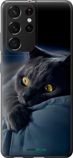 Чохол на Samsung Galaxy S21 Ultra (5G) Димчастий кіт "825t-2116-2448"