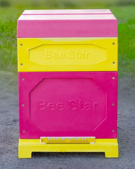 Вулик ППУ “BeeStar” (1 корпус Дадан 300 мм + 1 магазин на 10 рамок) – кольоровий | Зображення 3