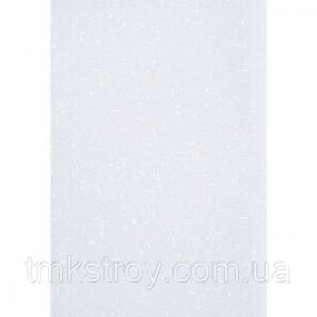 Панель пластиковая RIKO D 06.26 (абстракция) 250х3000/6000х8 мм 250х6000мм