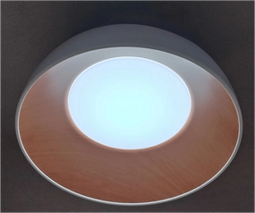 Потолочный LED светильник WBL-82/24*2W BK WW+NW+CW
