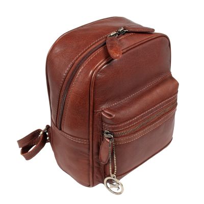 Рюкзак туристический Ashwood T87 Chestnut | Зображення 1