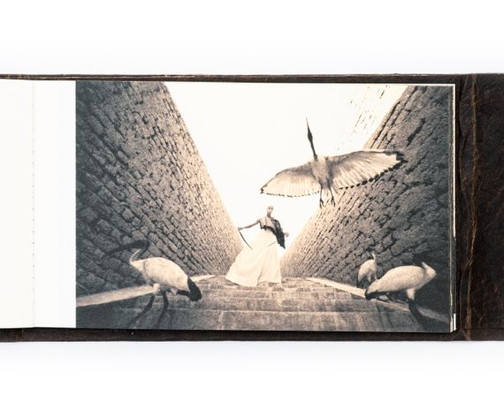 Книги знаменитых фотографов Грегори Колберт Gregory Colbert. Ashes and Snow. Feather to fire книга photography | Зображення 8