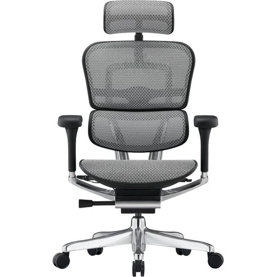 Кресло компьютерное ERGOHUMAN ELITE 2 (EHE2-AB-HAM-5D-L) сетка T-168-B2 NATURAL | Зображення 1