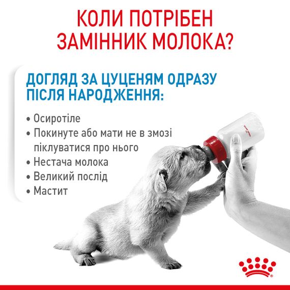Замінник молока для цуценят Royal Canin Babydog Milk, 400 гр | Зображення 1