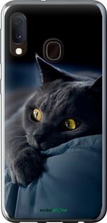 Чохол на Samsung Galaxy A20e A202F Димчастий кіт "825t-1709-2448"