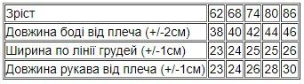 Боді ясельний для хлопчика (з довгим рукавом) Носи своє 80 Бірюзовий (p-13357-148705) | Зображення 2