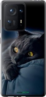 Чохол на Xiaomi Mix 4 Димчастий кіт "825u-2475-2448"