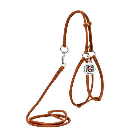 Шлея для собак кожаная WAUDOG Soft, кругла, з повідцем для дрібних порід собак і котів, XS, Д 6 мм, А 42-60 см