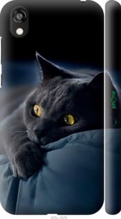 Чохол на Huawei Honor 8S Димчастий кіт "825m-1679-2448"