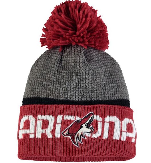 Шапка Reebok Arizona Coyotes